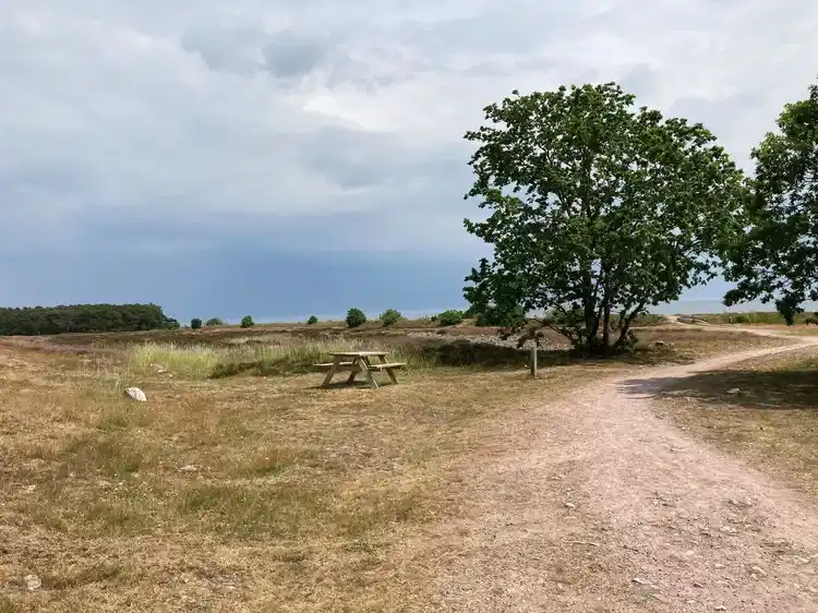 Bannerbilde for løpet